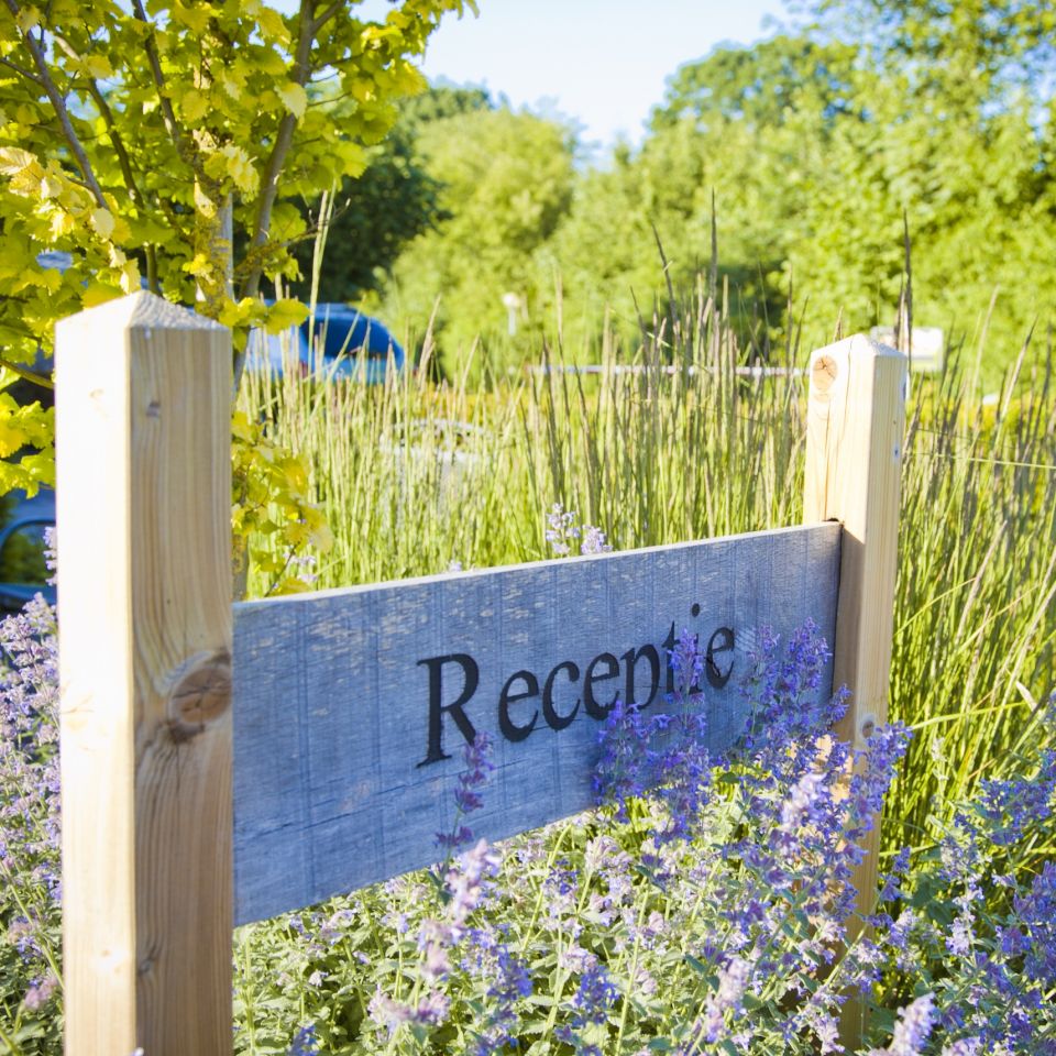 Afbeelding bij tekst